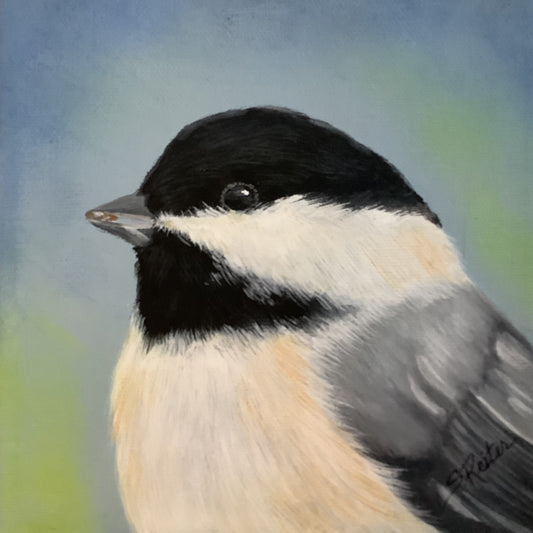 Miss Bella, 6x6" image 0