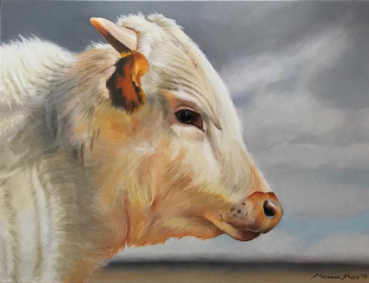 Long Horn Heifer image 0