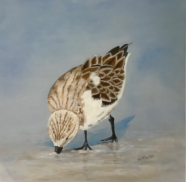 Visitor on the Beach 12x12" image 0
