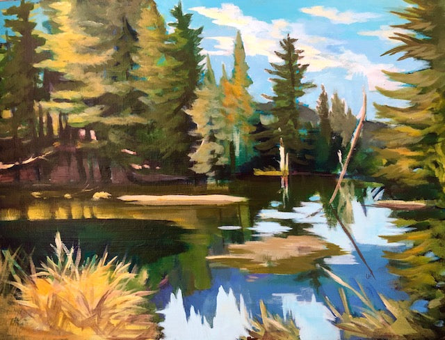 The Quiet Pond 12H x 16W image 0