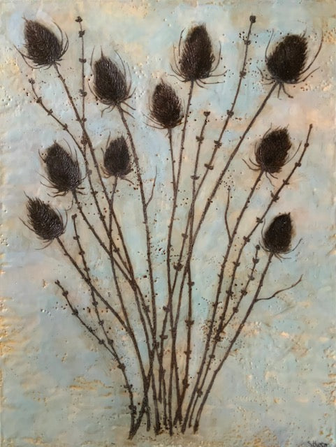 Teasel Study, 18X24" image 0