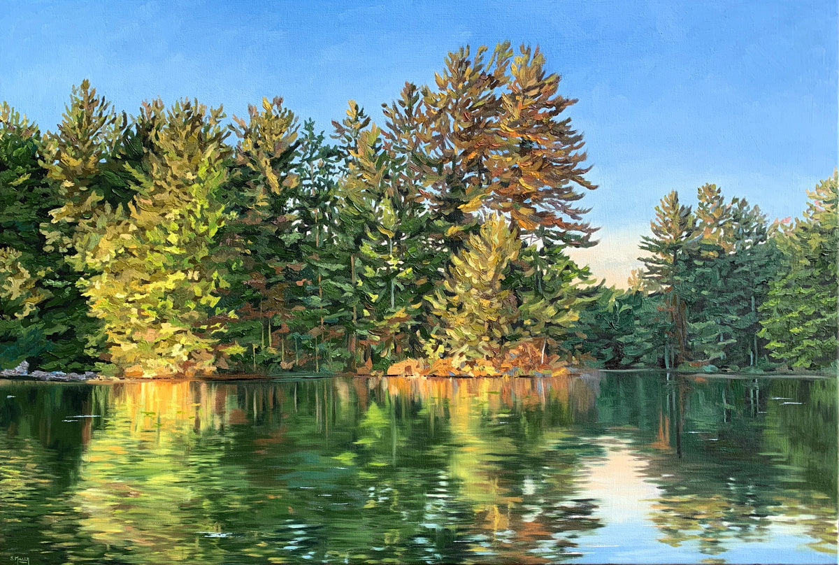 Pine Shadows 20x30" image 0