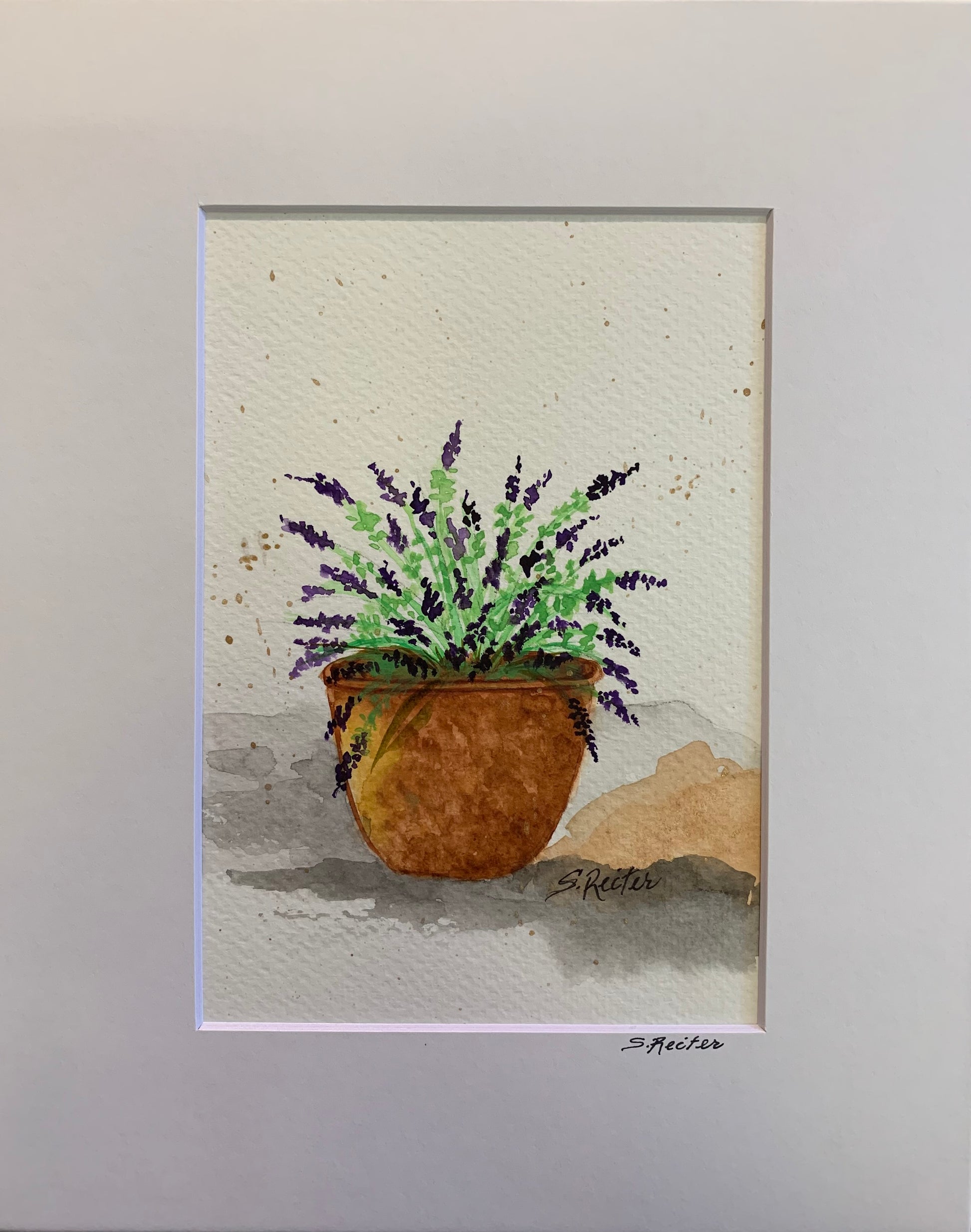 Purple Lavender image 0