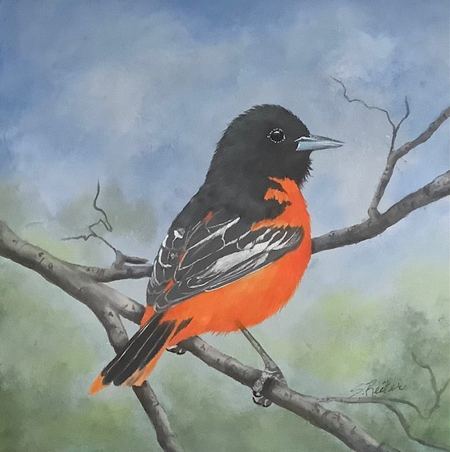 Scarlet 12x12" image 0