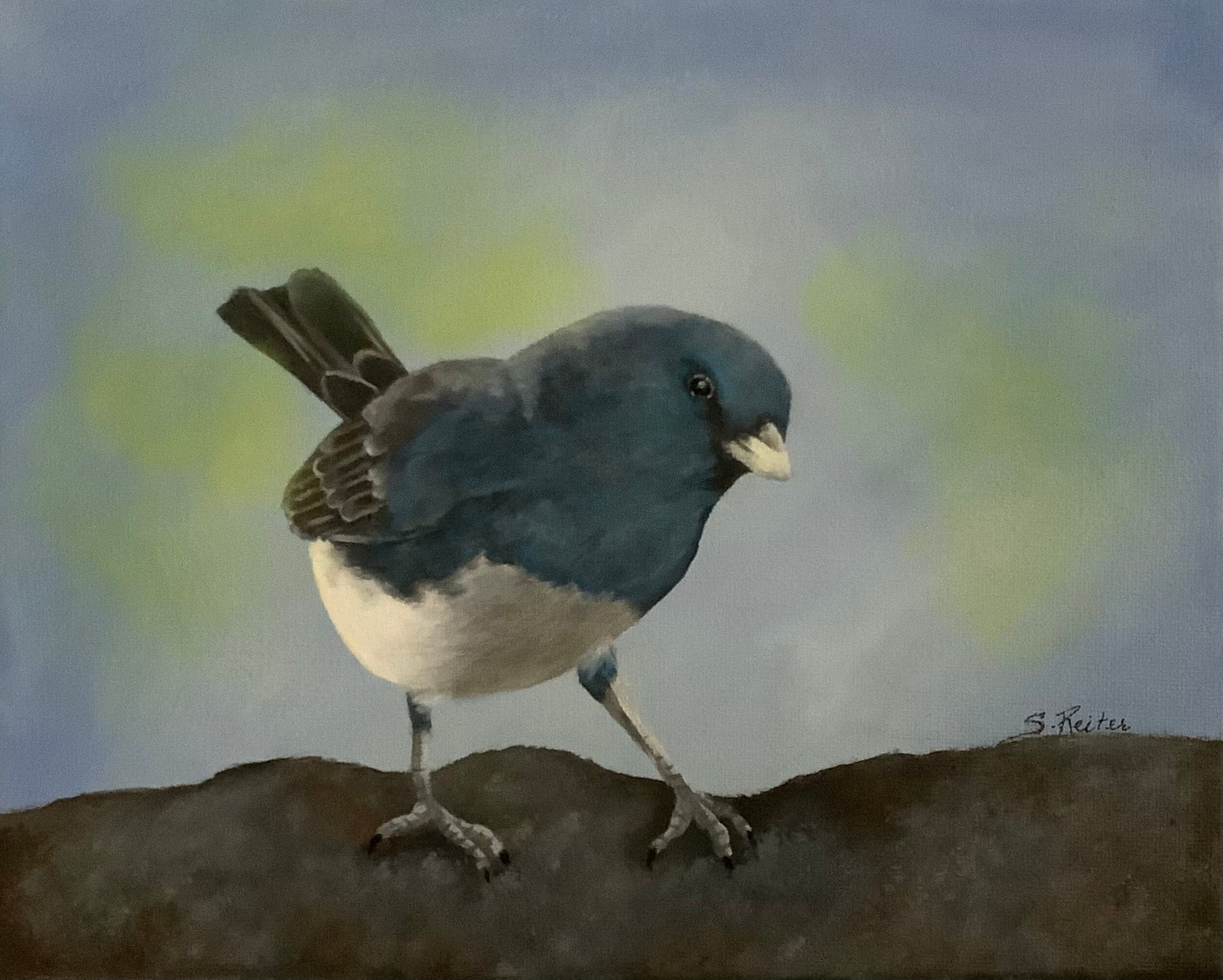 Junco in my Garden 10x8" image 0
