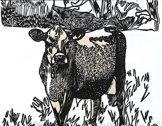 "Jersey Belle" V.E. 1/20, 8x6" image 0
