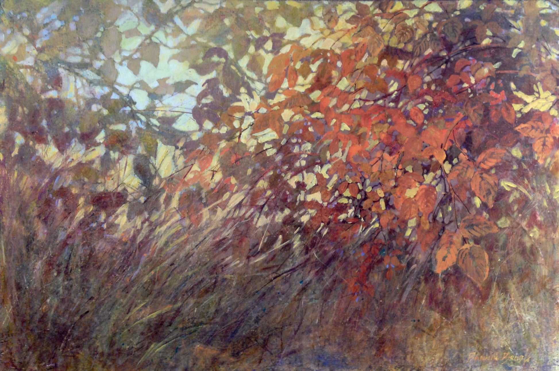 Raspberry Canes-36" x 24" image 0
