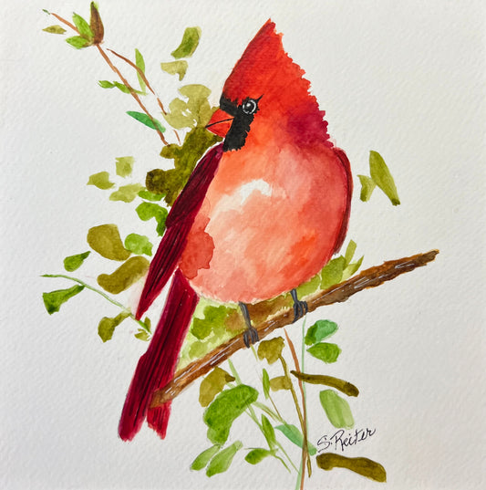 Cardinal 8x8" image 0
