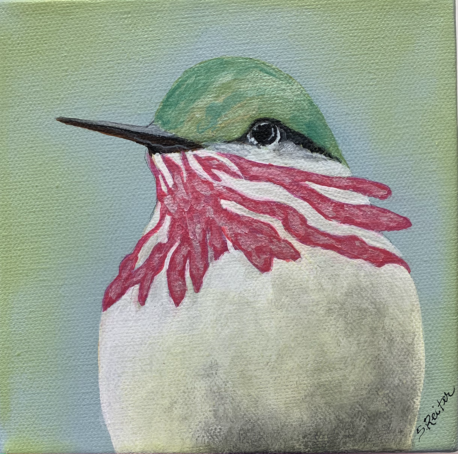 Anna's Hummingbird, 6x6" image 0