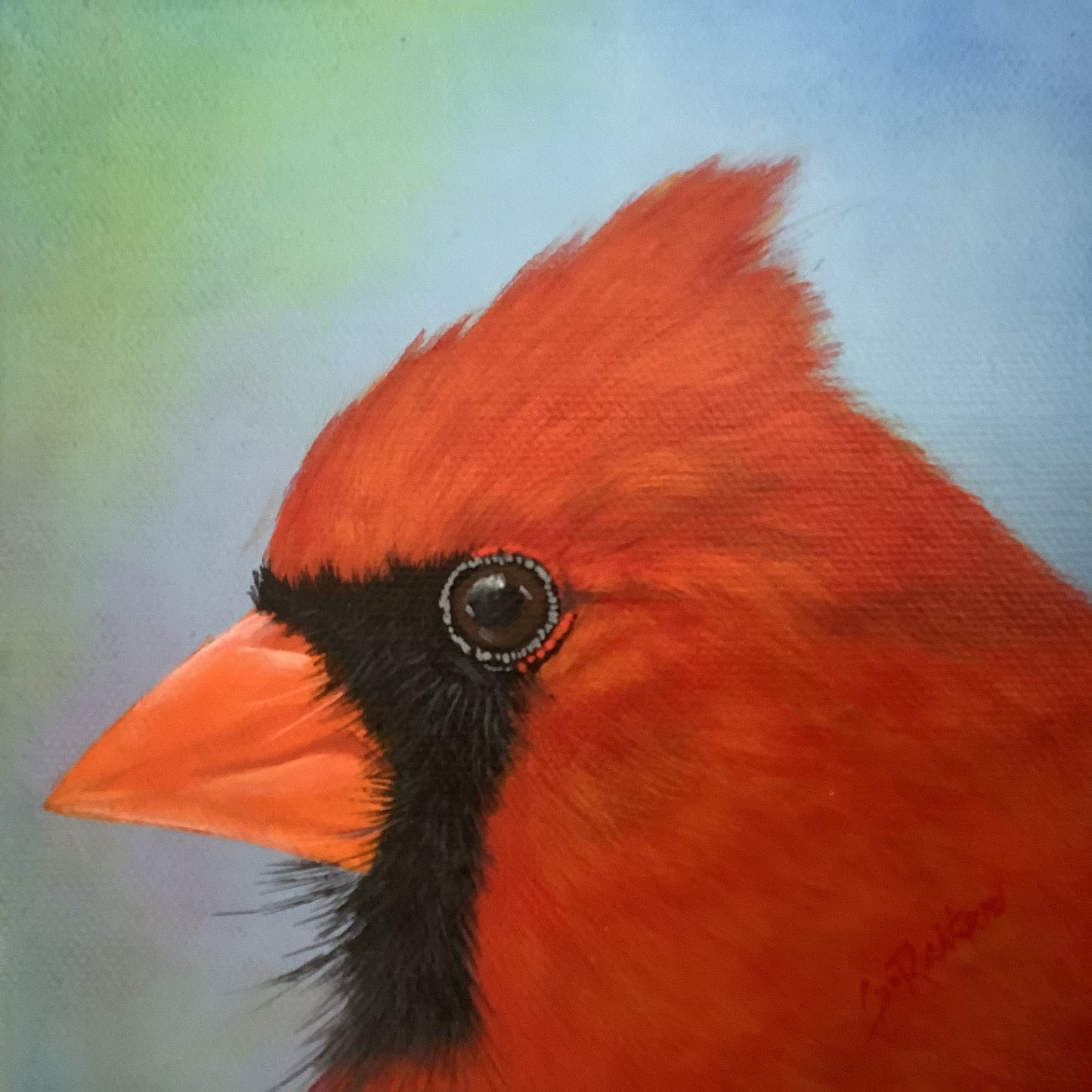 Mr. Cardinal, 6x6" image 0