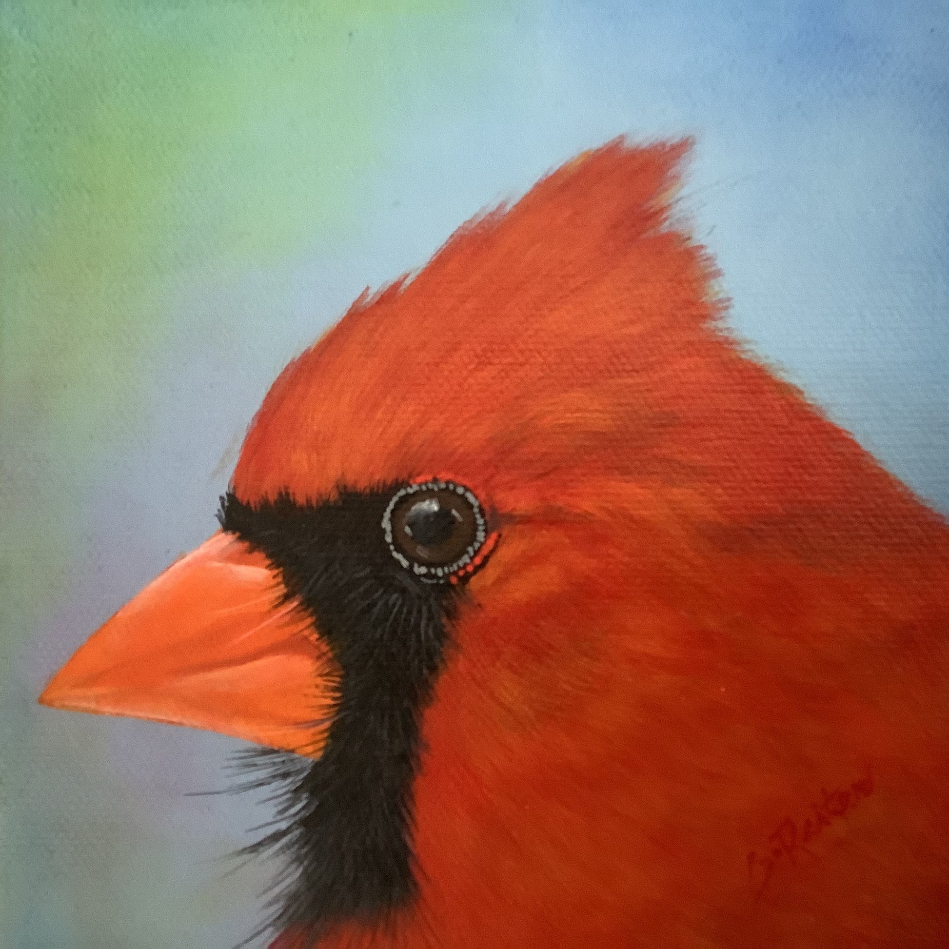 Mr. Cardinal, 6x6" image 0