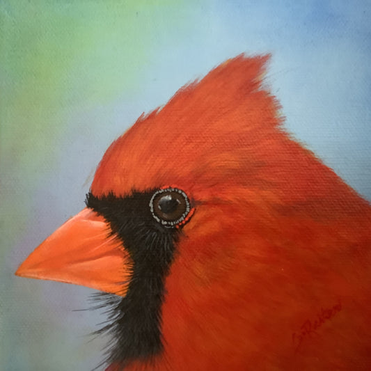 Mr. Cardinal, 6x6" image 0