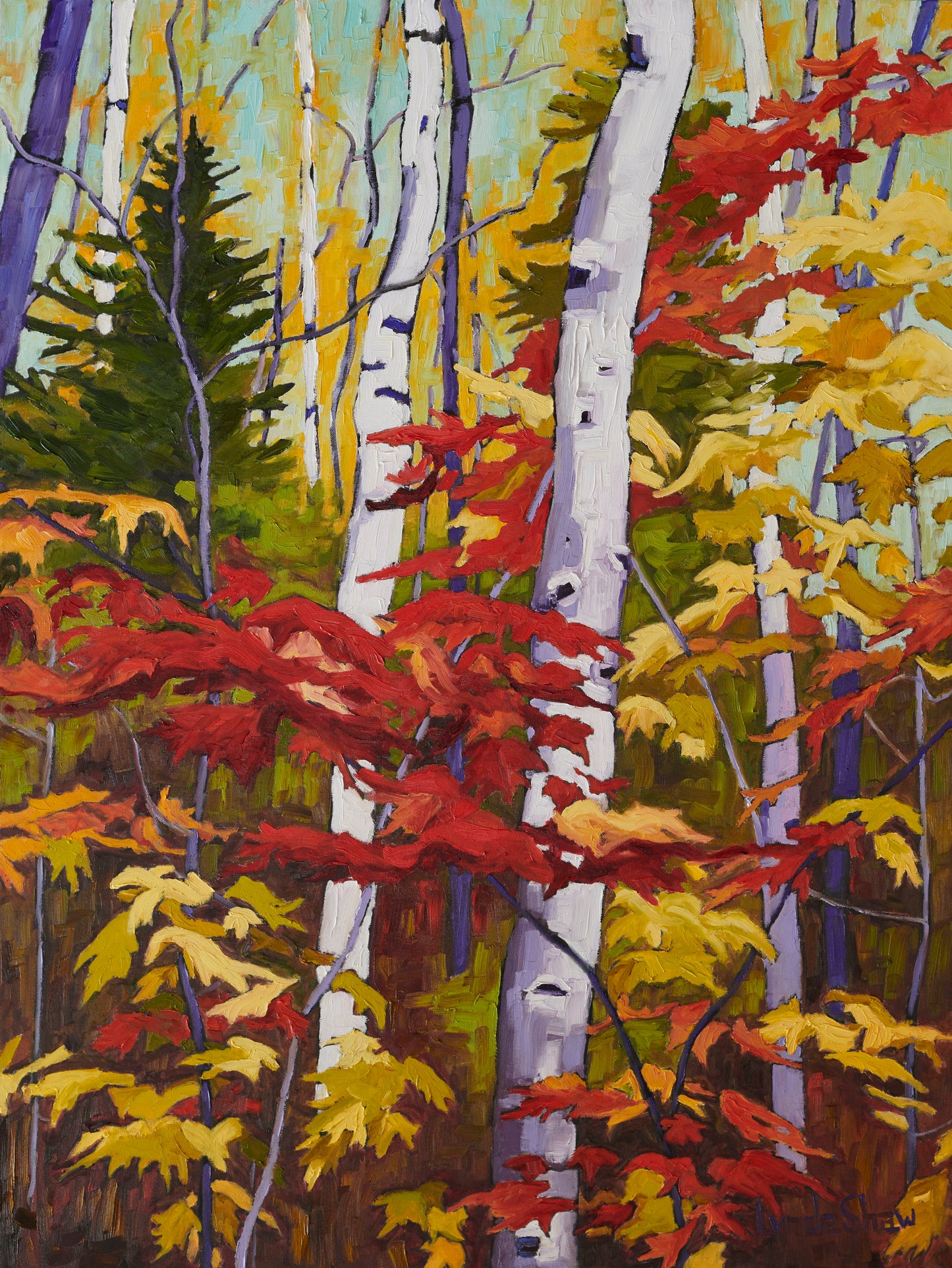 Birch Trees and Fall Leaves, Col.4 image 0