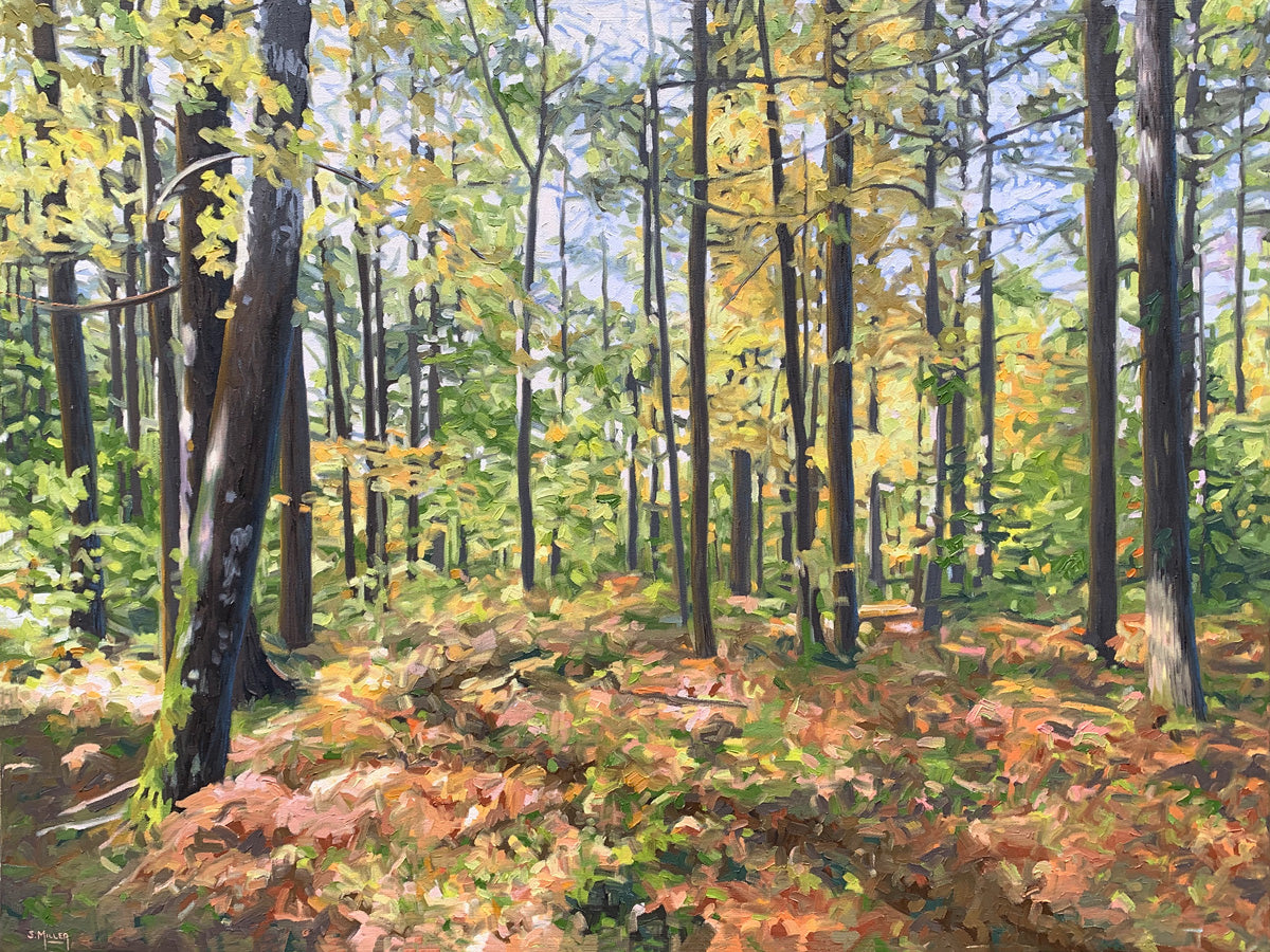 On The Right Path, 18x24" image 0