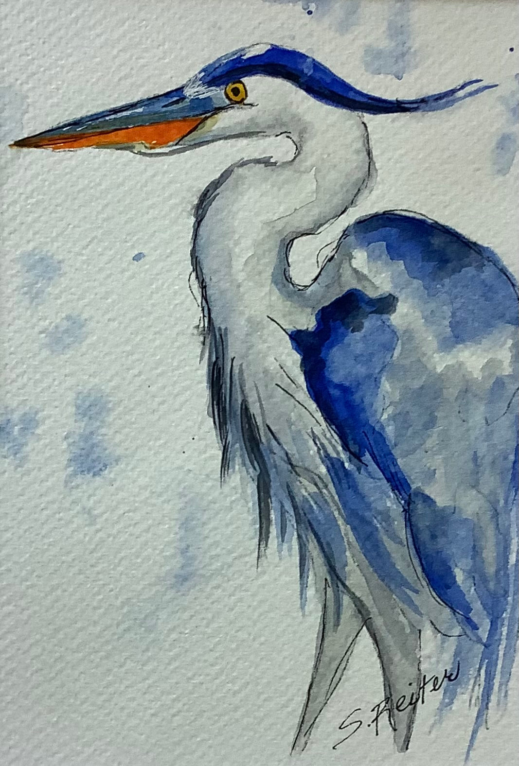 Blue Heron 8x10" image 0