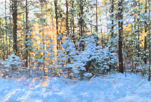 Winter Sunshine 20x30" image 0
