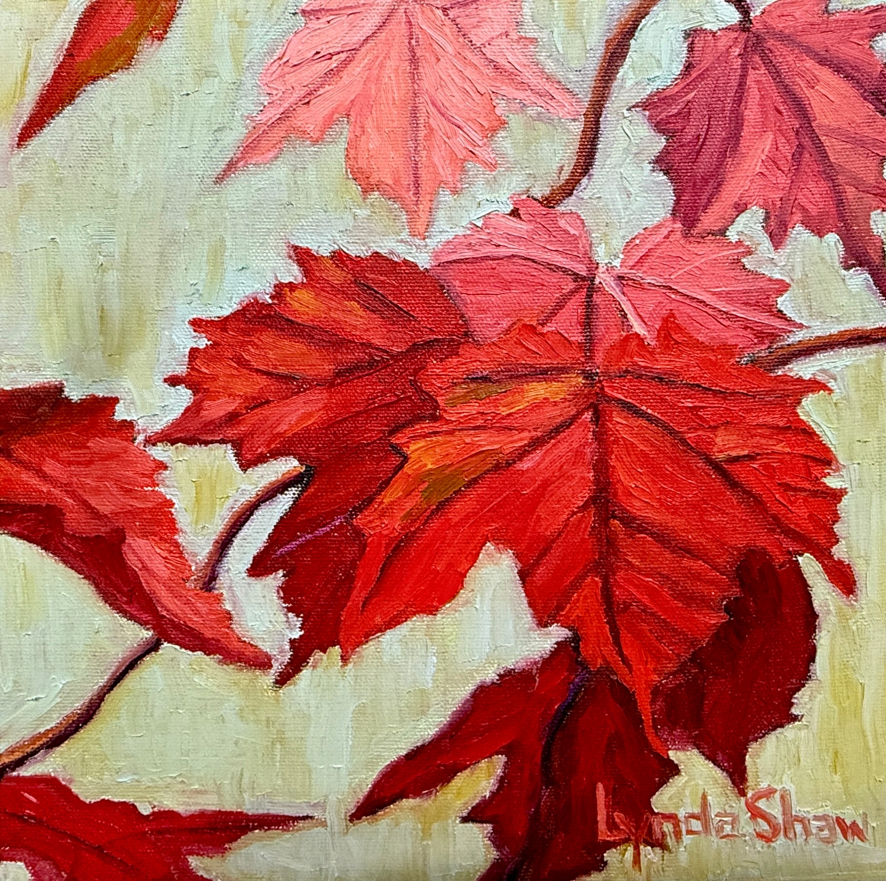 Fall Foliage 10x10 image 0