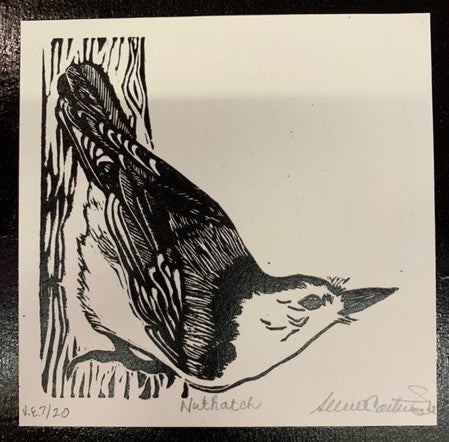 Nuthatch v.e. 7/20, 5x5" image 0