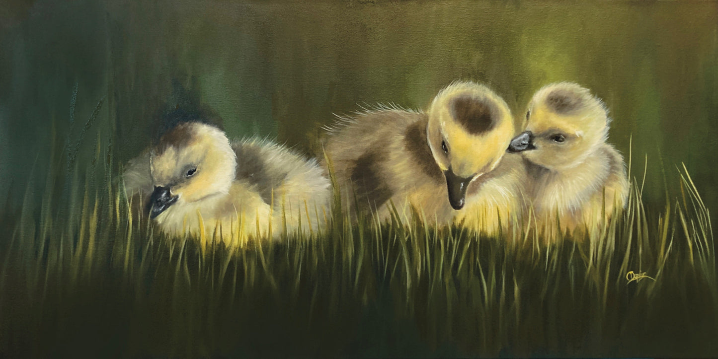 Cousins 30x15" image 0