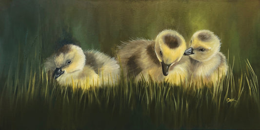 Cousins 30x15" image 0
