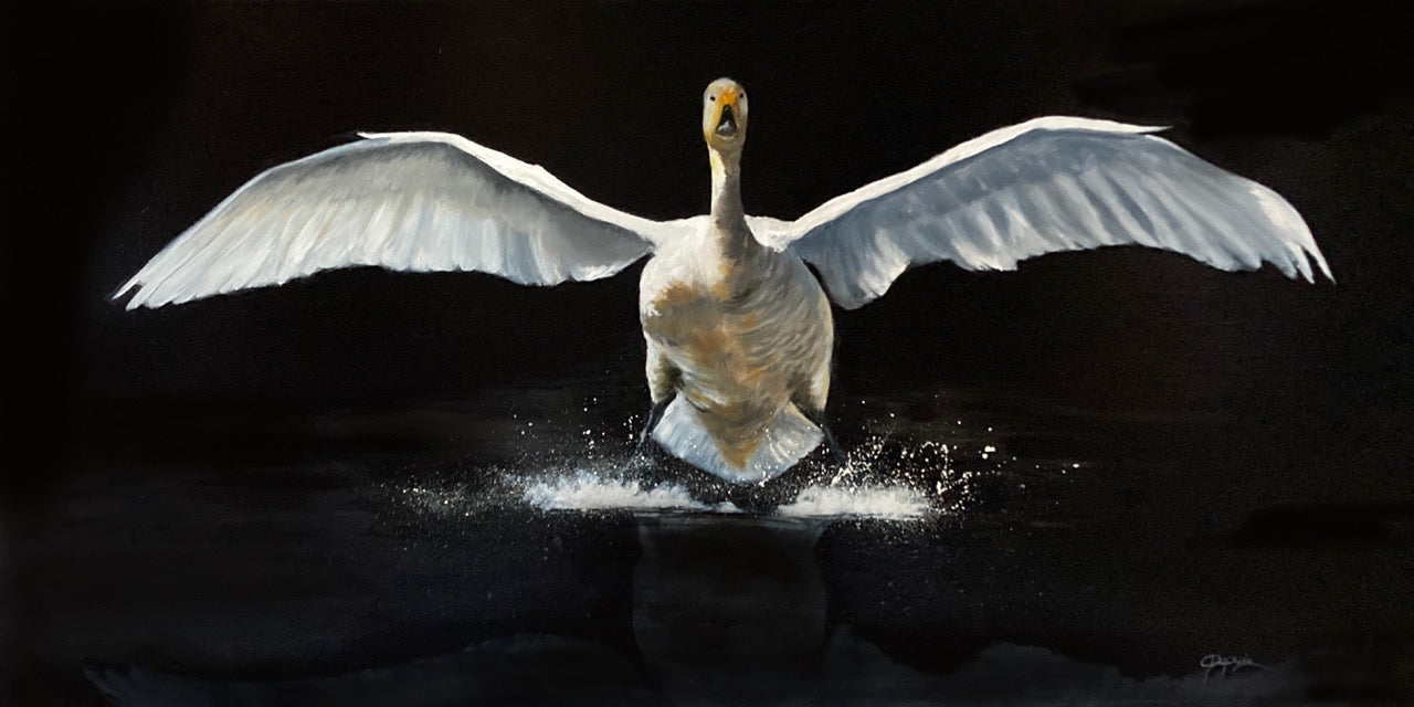 Perfect Landing 36x18" image 0
