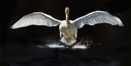 Perfect Landing 36x18" image 0