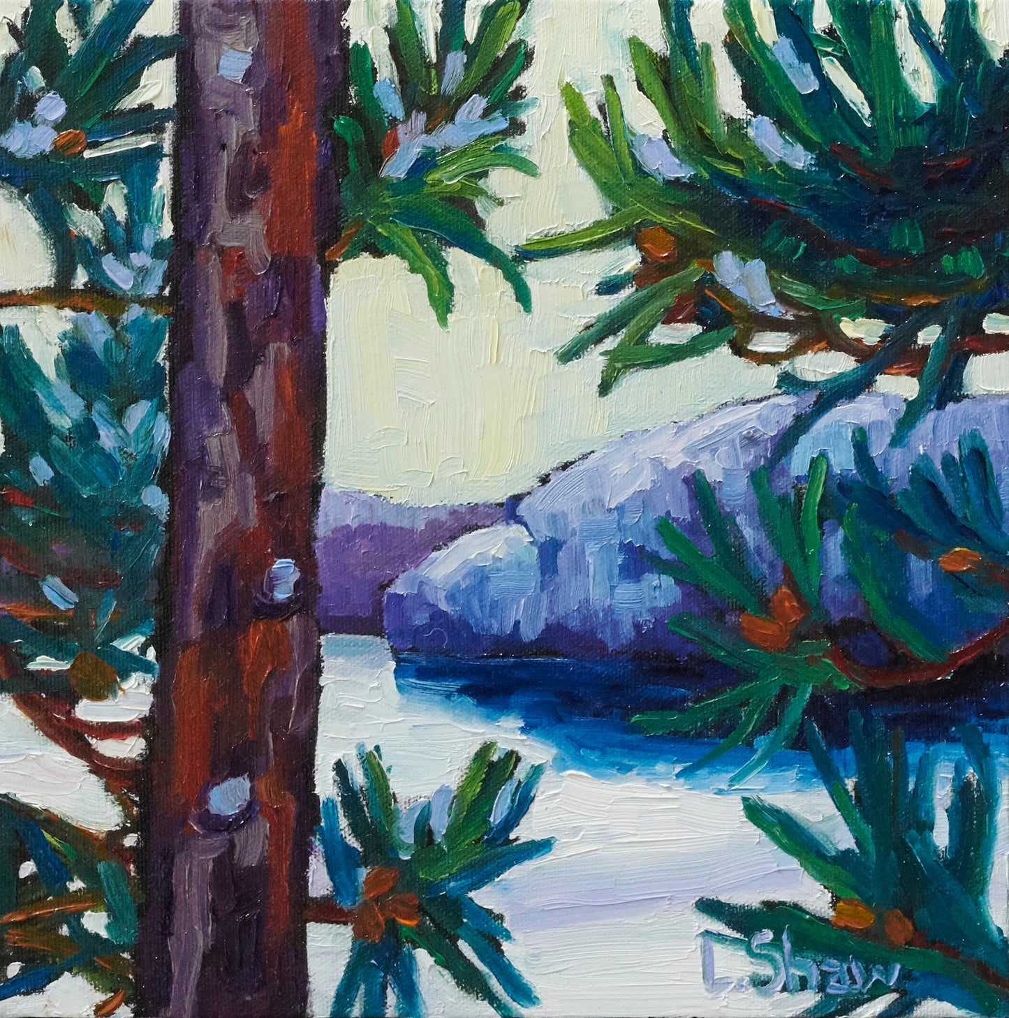 Red Pine and Early Snow Col.2, 10x10" image 0