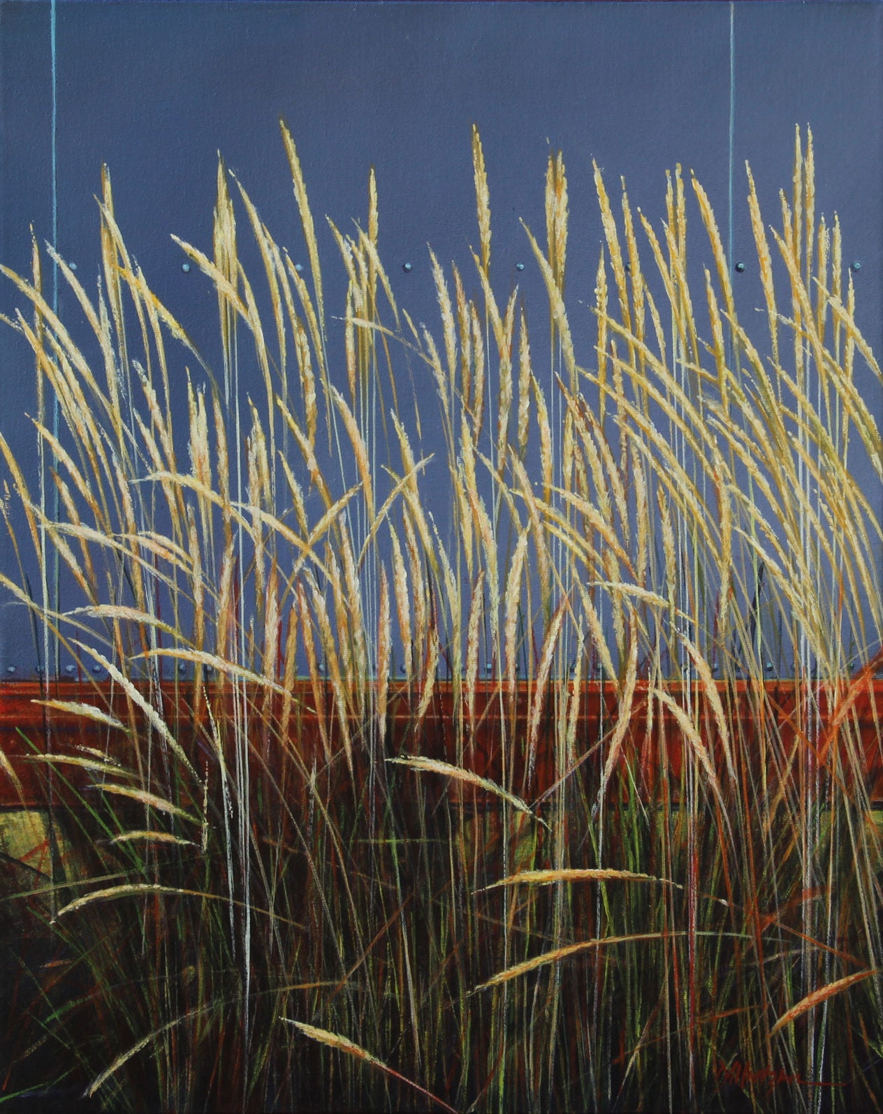 A gentle breeze image 0