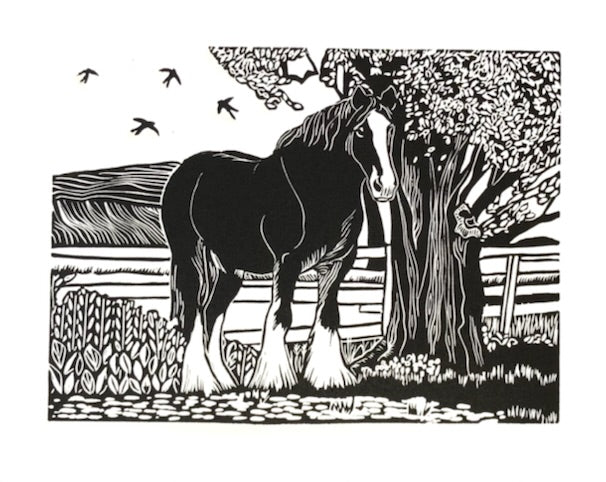 Shire Lad 3/20, 8x6" image 0