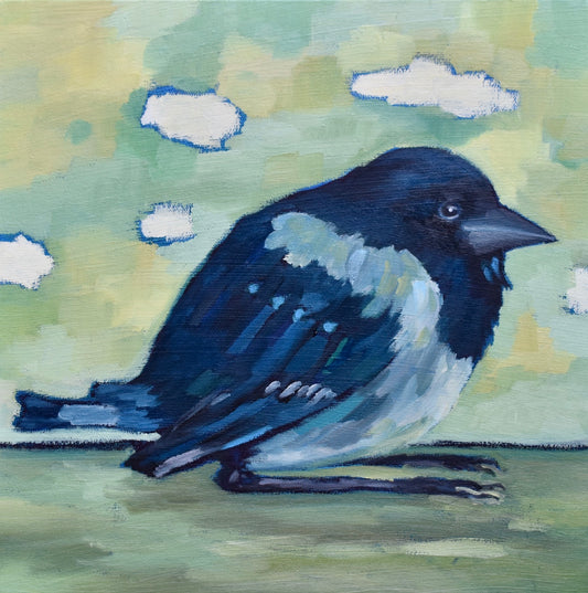 Big Baby Magpie 12x12 image 0