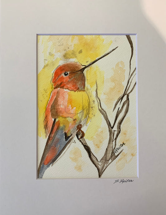 Colorful Humming Bird 8x10" image 0