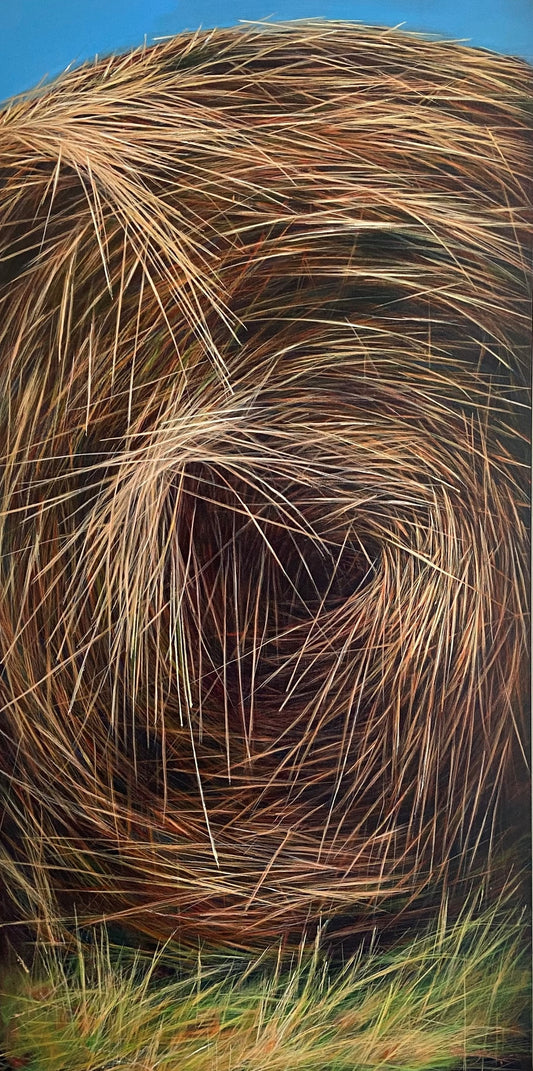 Round and Round image 0