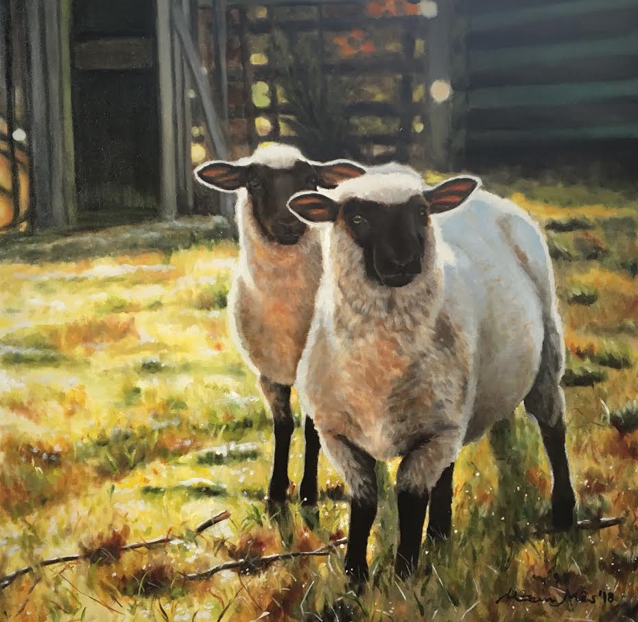 Black-faced Suffolk Sheep image 0