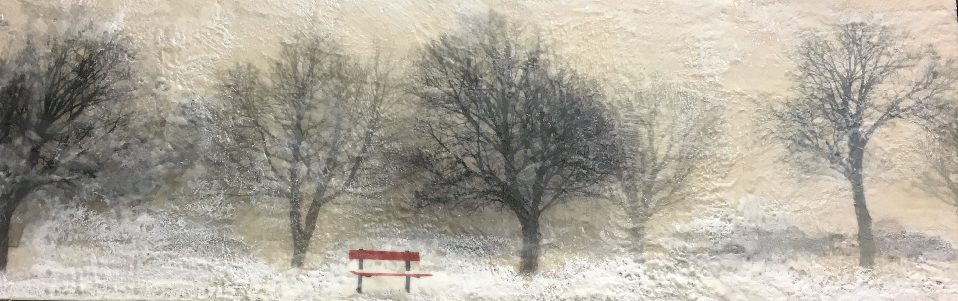 The Bench in the Park image 0