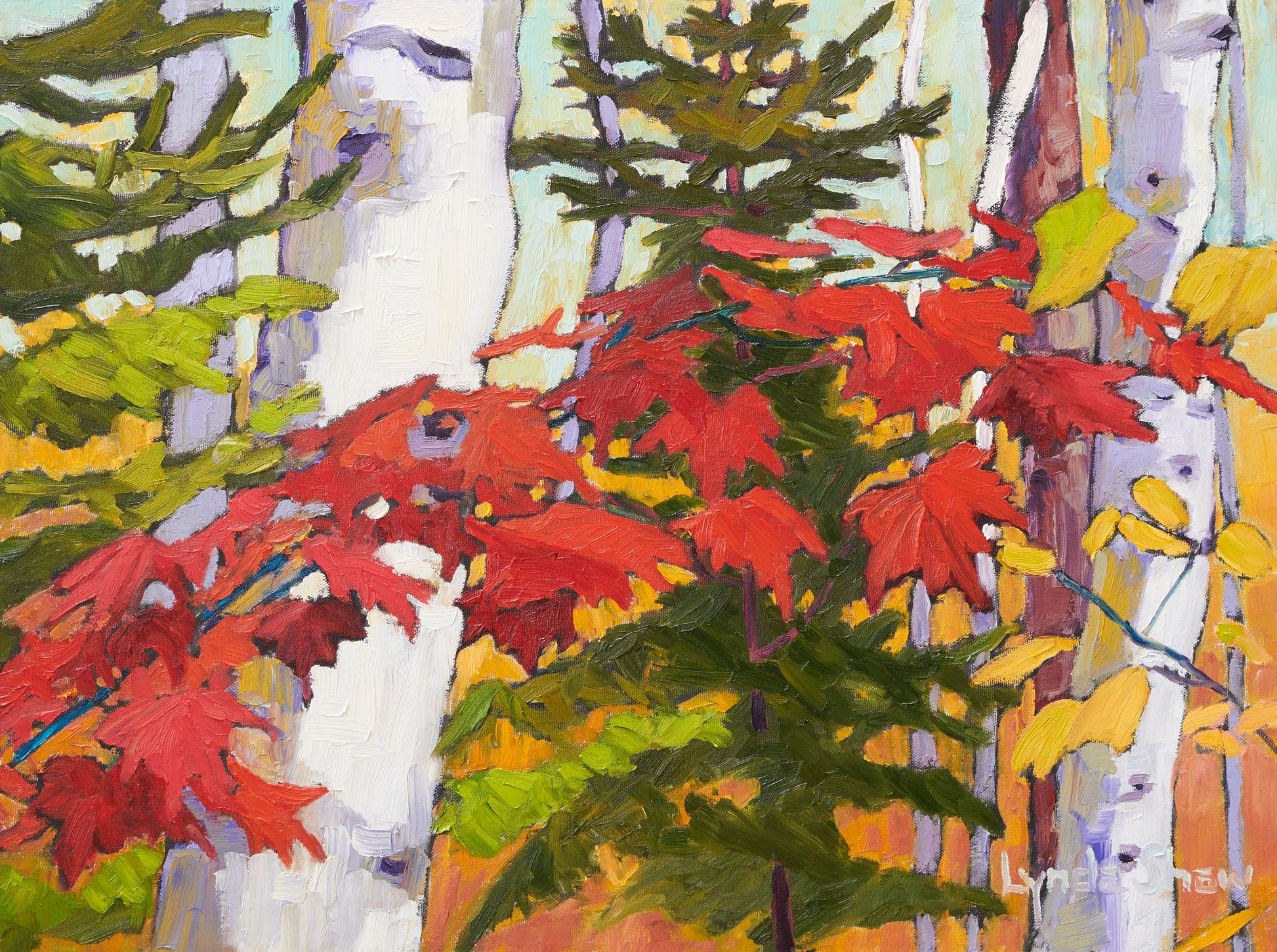 Birch Trees and Fall Leaves, Col.5 image 0