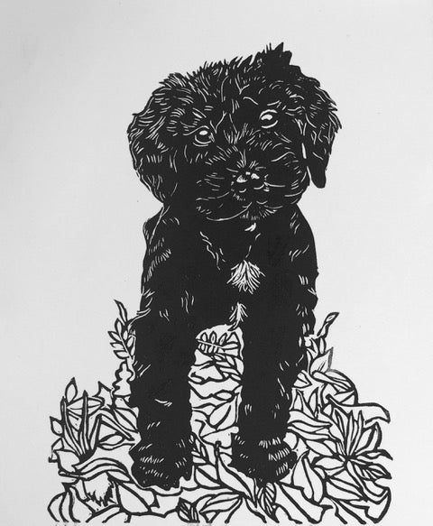 Untitled (Spoodle) Edition #2 of 10 image 0
