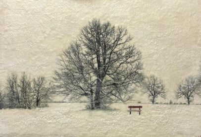 The Parkland in Winter 24x36" image 0
