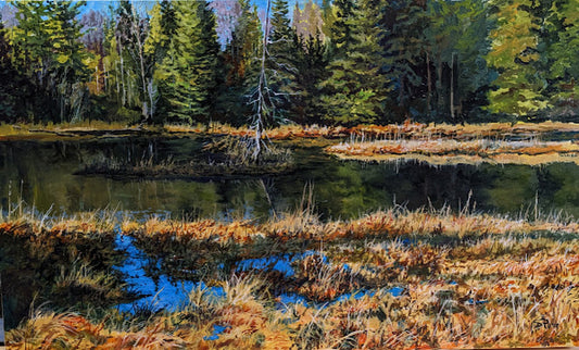 Morning Sun on Algonquin Marsh, 18x30