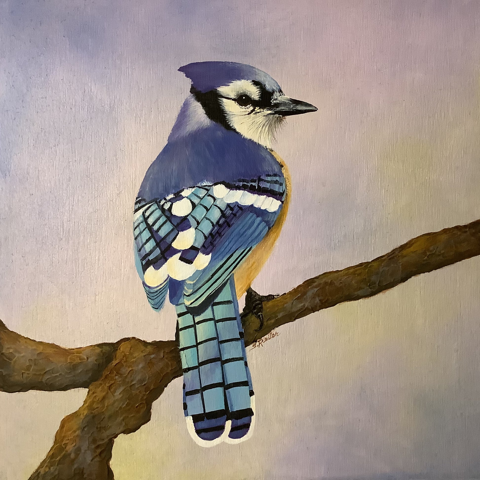 Bluejay in the Garden, 10x10" image 0