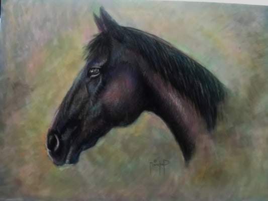 Dark Horse, 20x24, Framed image 0