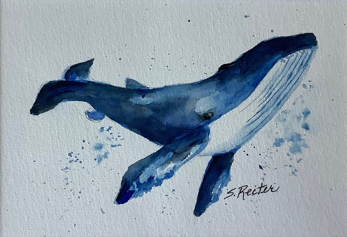 A Whale Story 8x10" image 0