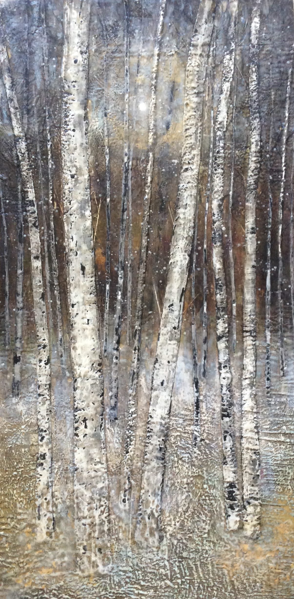 Shy Birches image 0