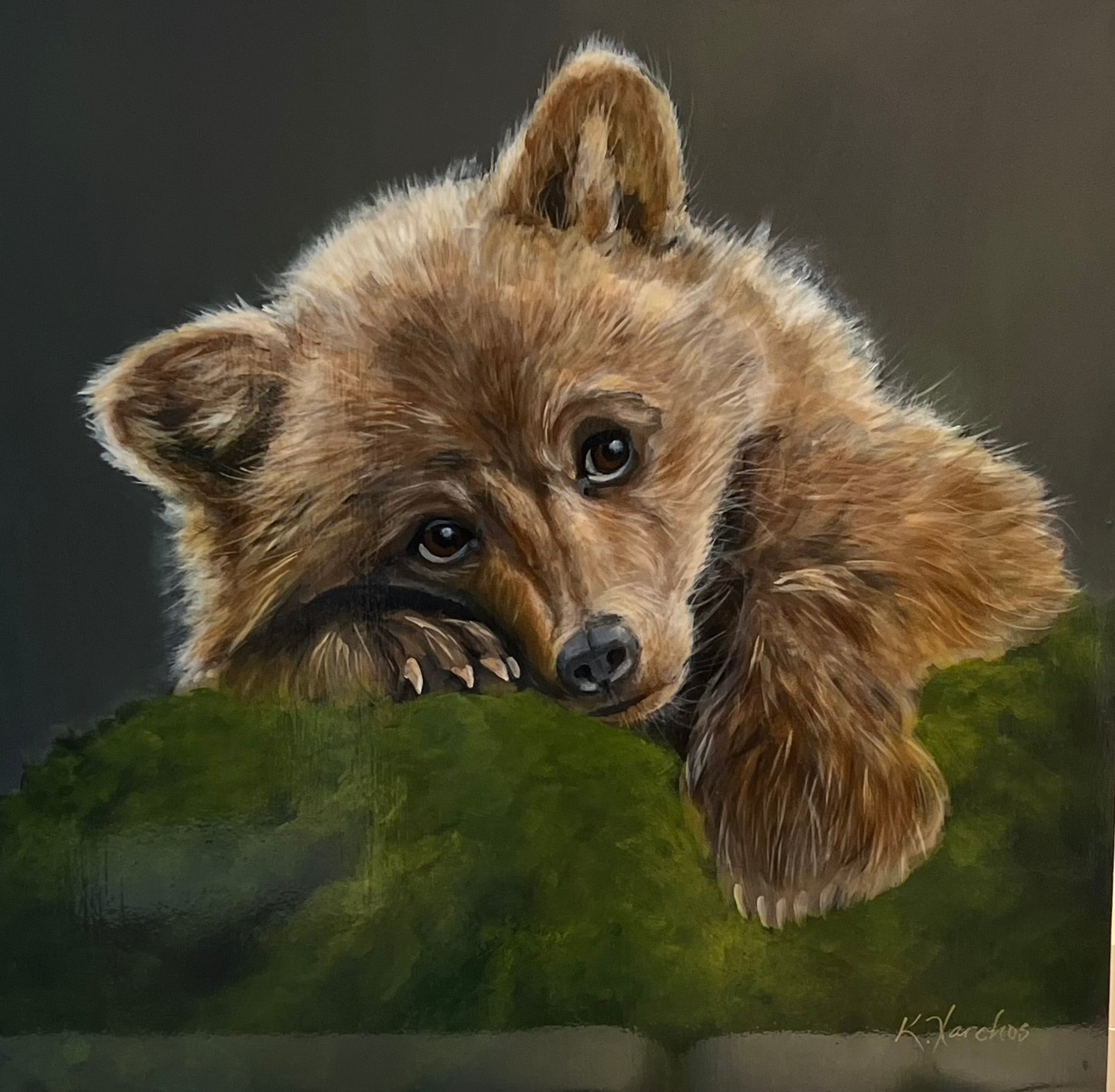 I Can Bearly Keep My Eyes Open 24x24" image 0