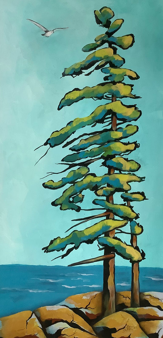 Hudson Bay Pine 12x24” image 0
