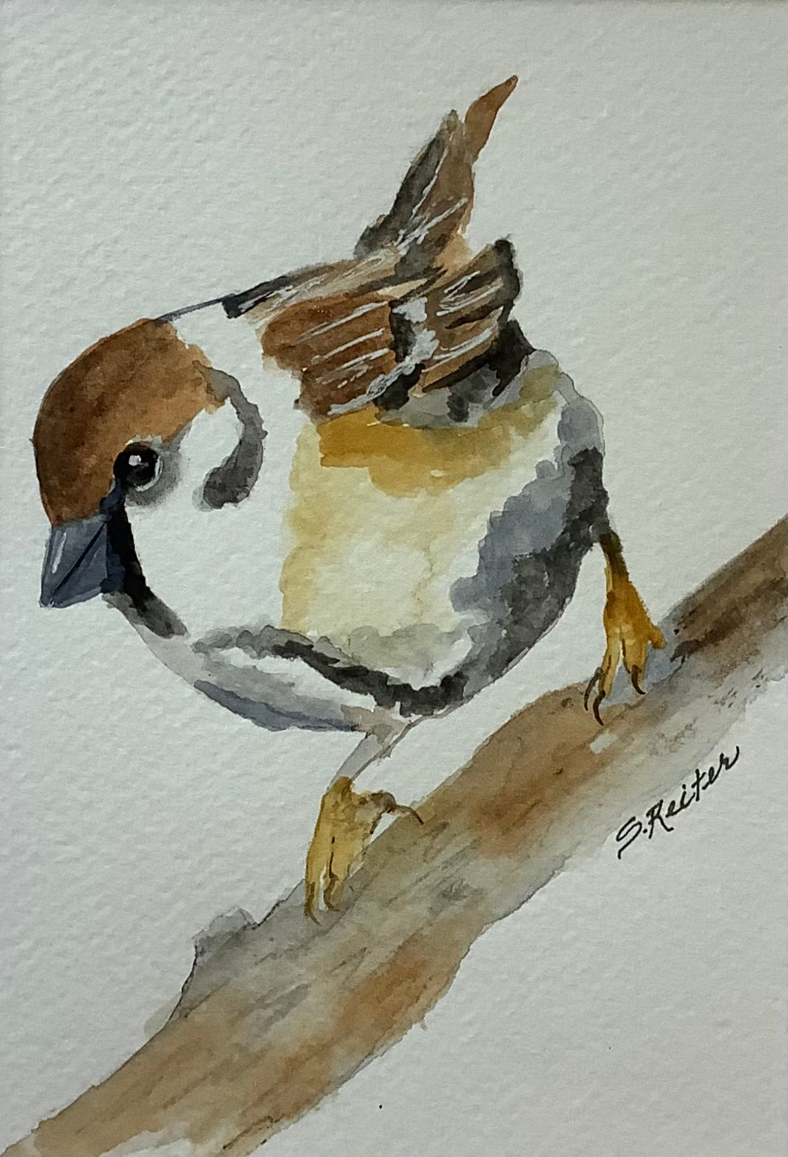 Summer Sparrow 8x10" image 0