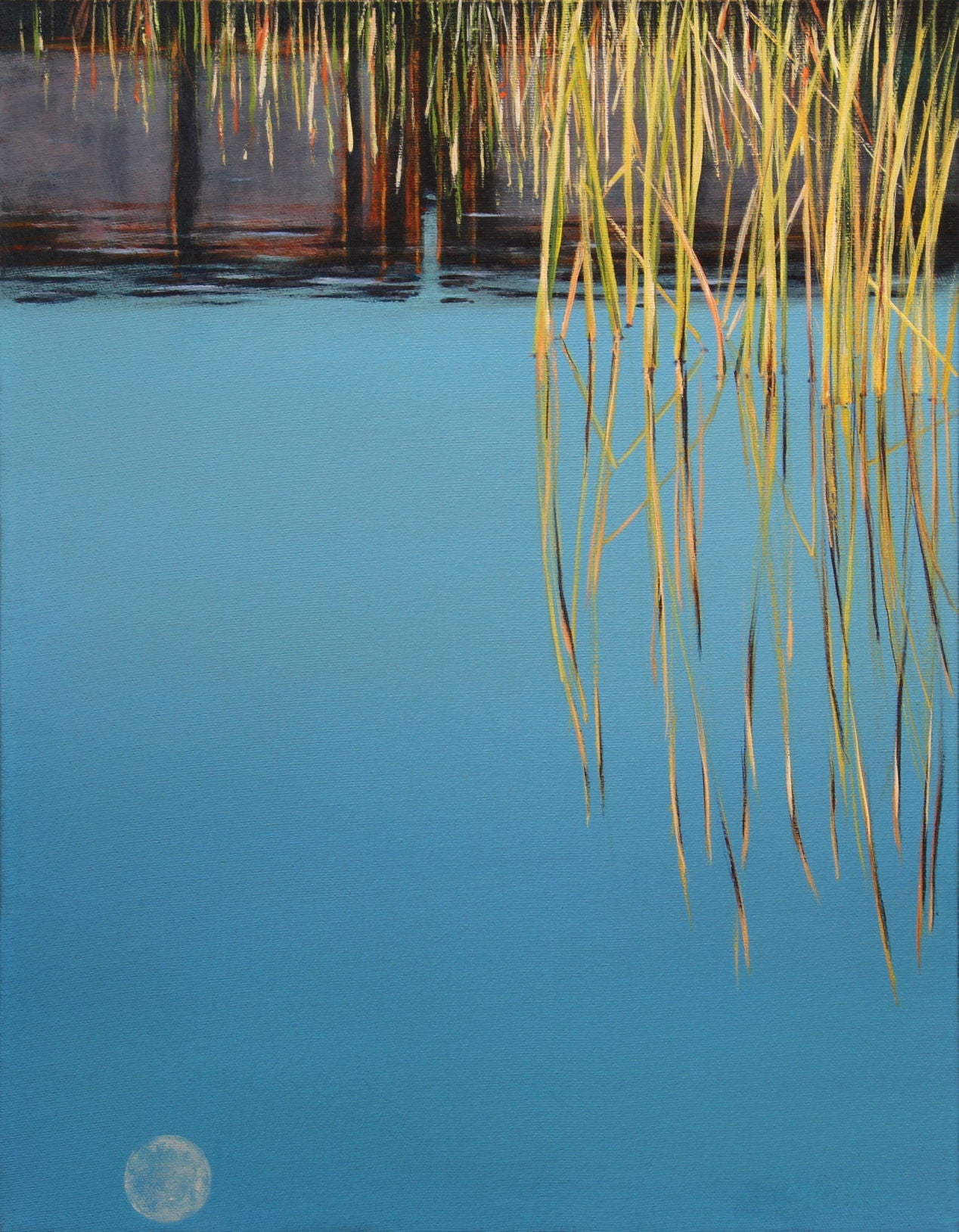 Morning calm image 0