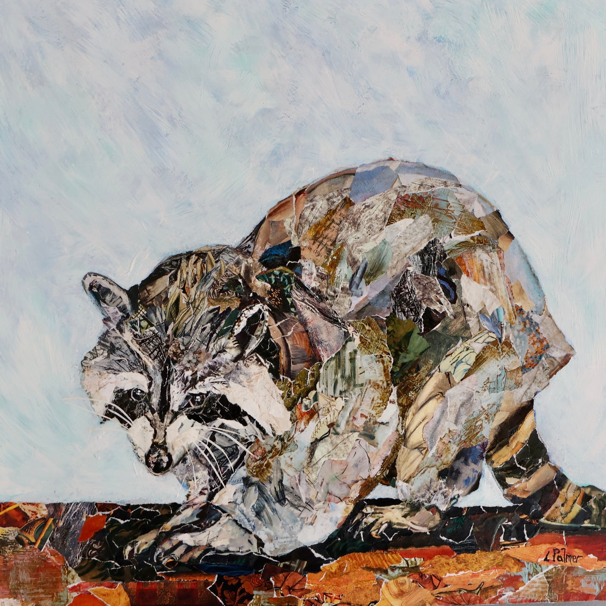 Racoon 16H x 16W image 0