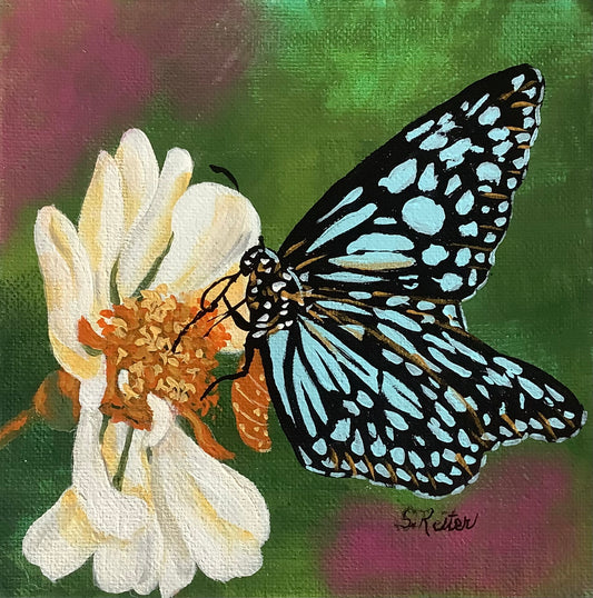 Blue Monarch image 0
