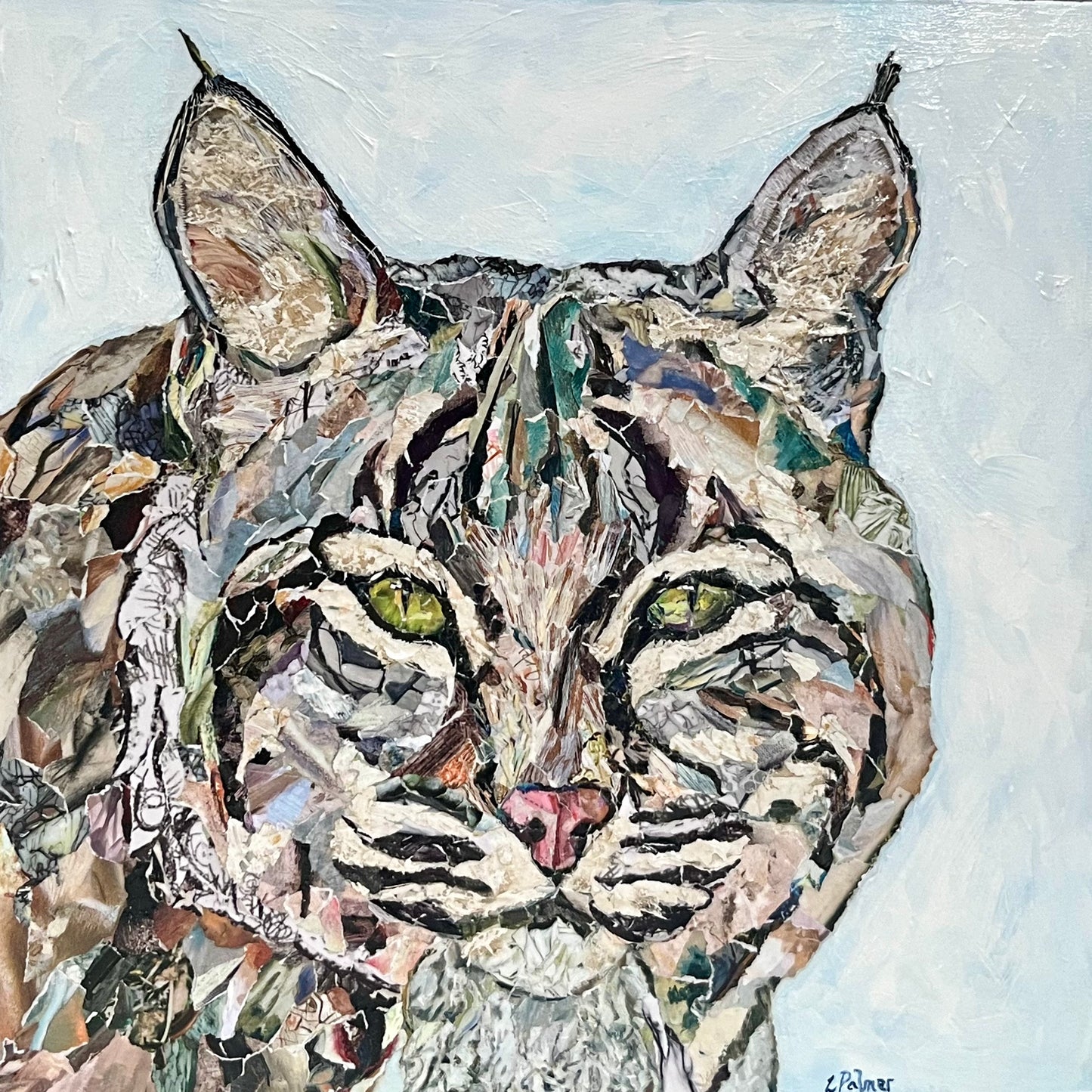 Bobcat 12x12" image 0