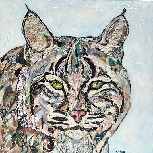Bobcat 12x12" image 0